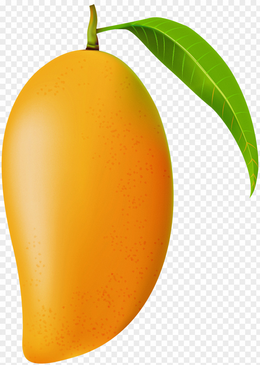 Orange PNG