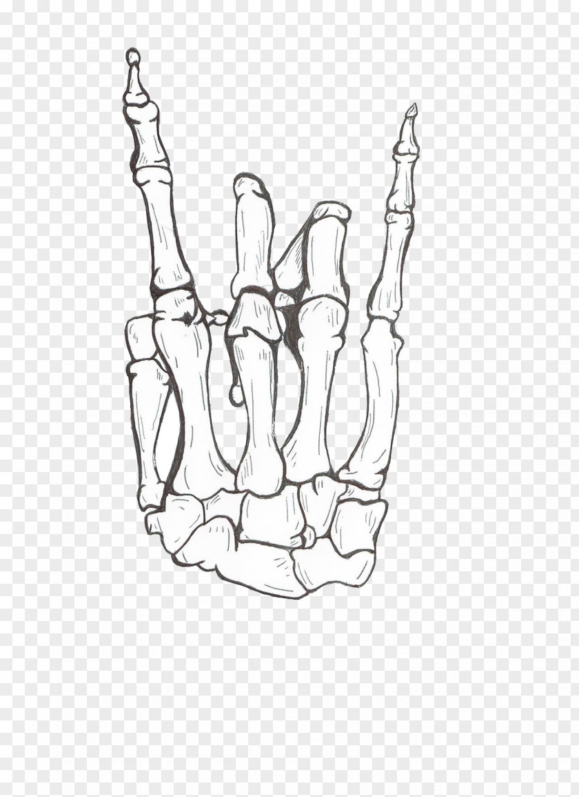 Skeleton Drawing Human Hand Bone PNG