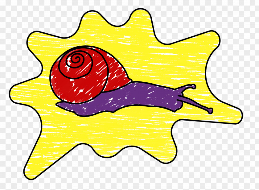 Snail Cartoon Line Area Clip Art PNG