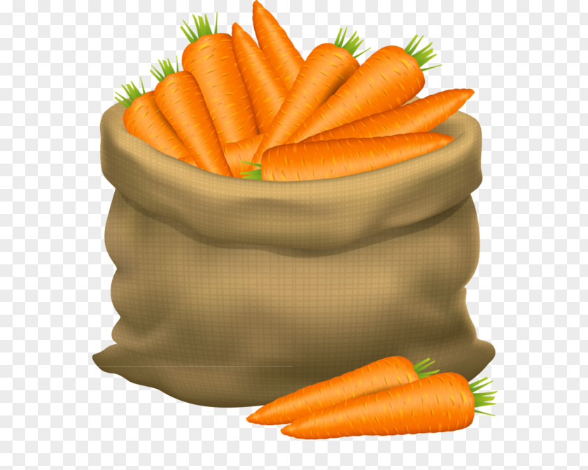 Vegan Nutrition Wild Carrot Food Vegetable Root Baby PNG
