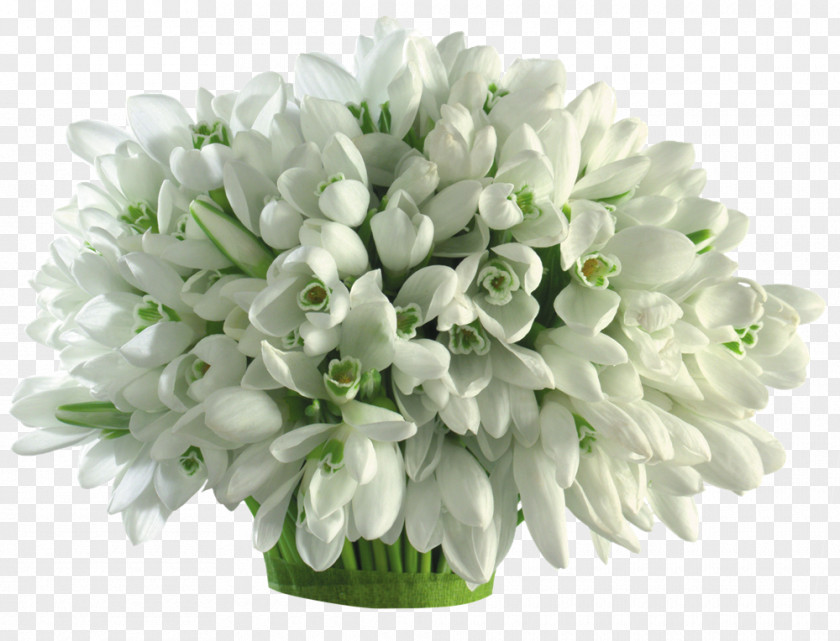 White Bouquet Snowdrop Girlfriend March 1 Love PNG