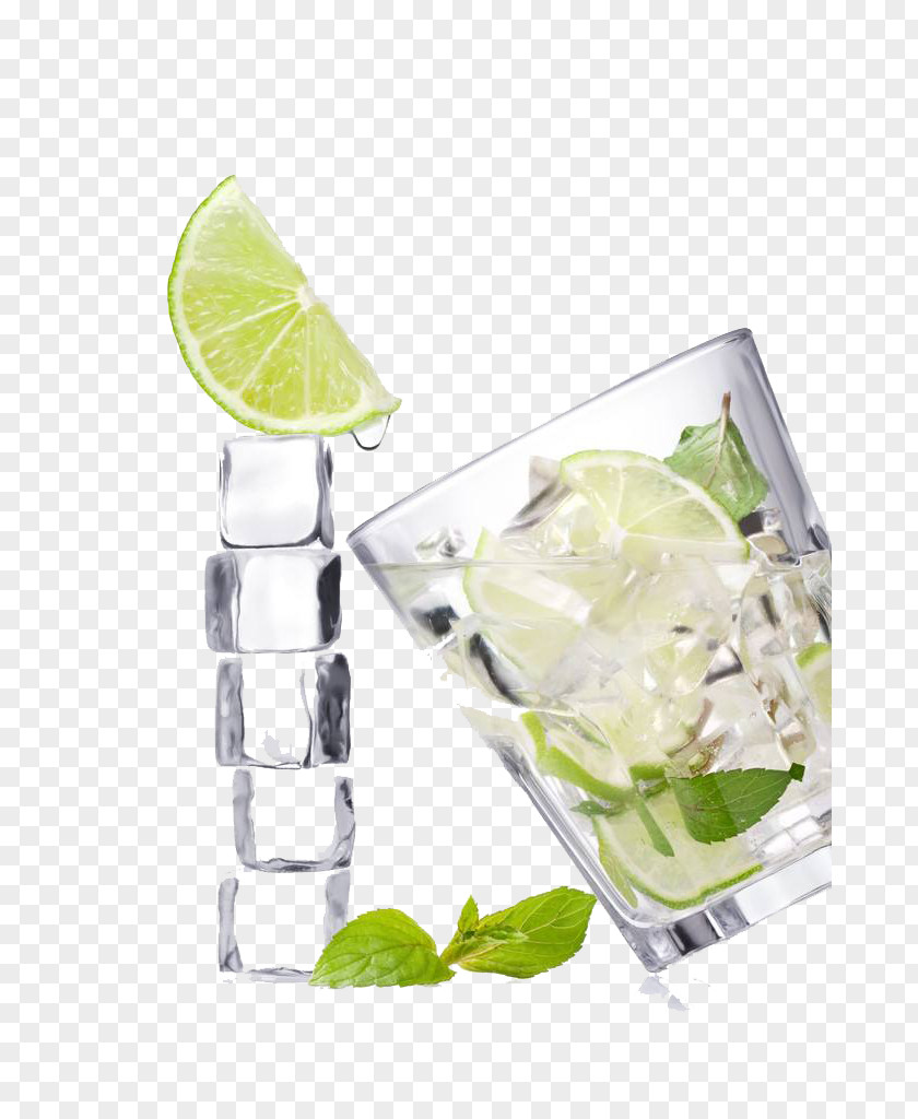 Glass,fruit Vodka Tonic Gin And Juice Lemonade Limeade PNG