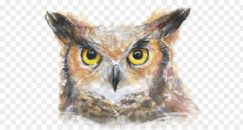 Horned Great Owl Watercolor Painting Canvas Print PNG
