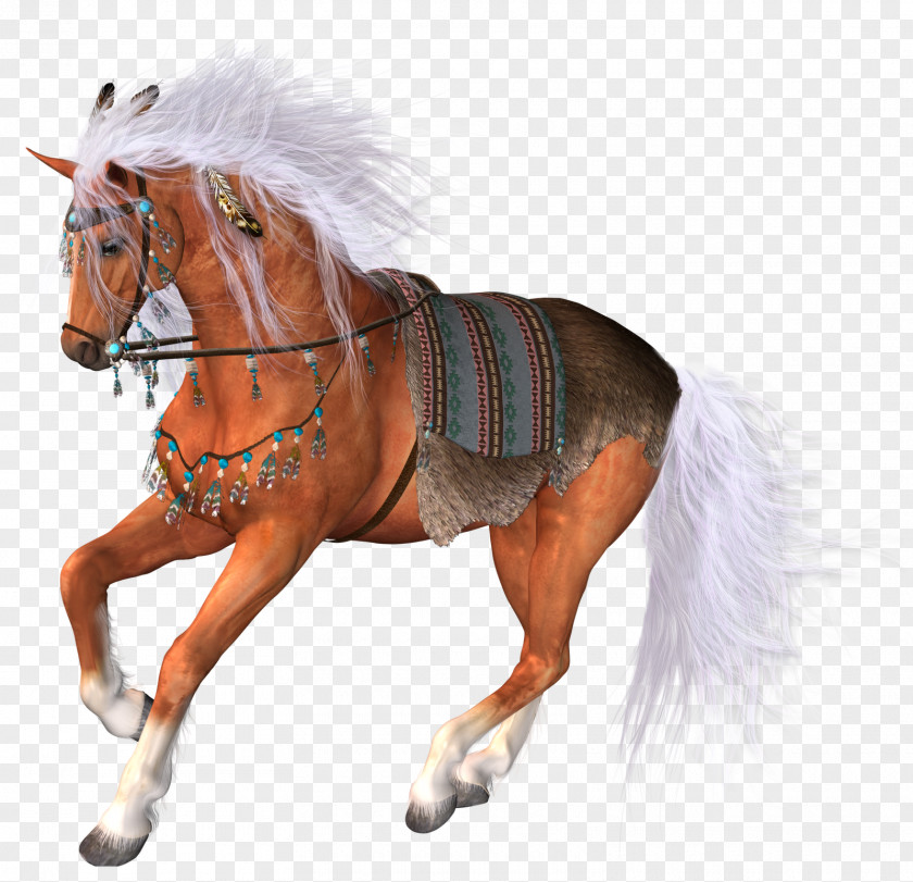 Horse PhotoScape Clip Art PNG