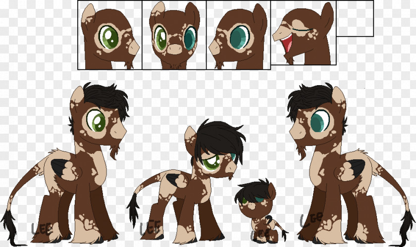 Horse Pony Cat Fiction PNG