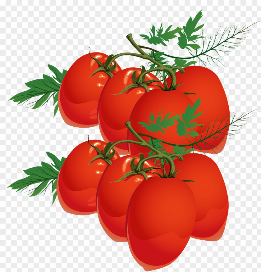 Small Persimmon Vector Tomato Juice Plum Cherry Bush PNG