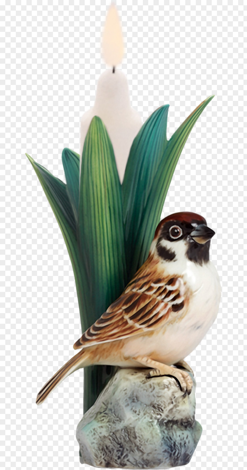 Vase Franz Collection Tree Sparrow Porcelain Ceramic PNG