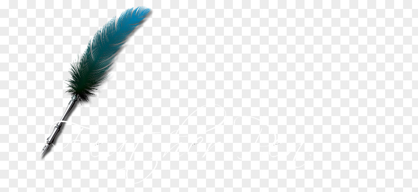 Feather Pen Quill Wing AT&T PNG