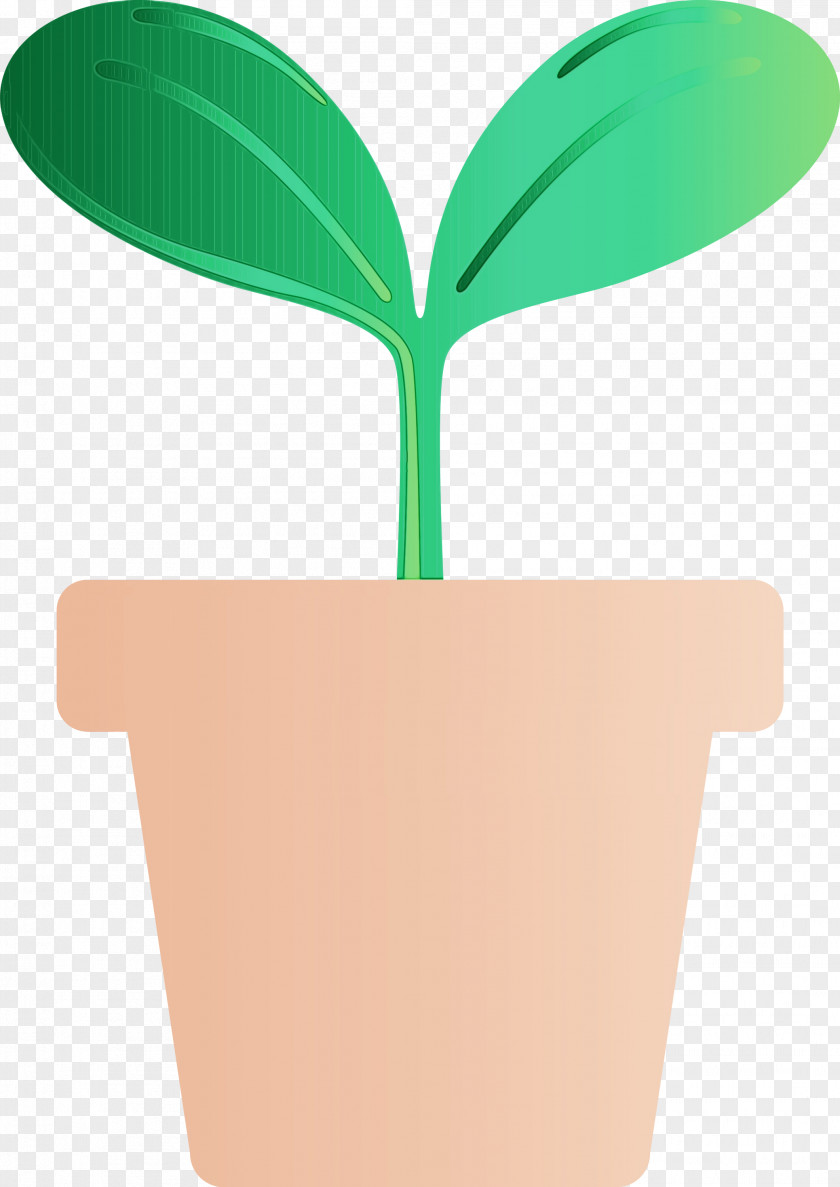 Flowerpot Green Leaf Plant Tree PNG