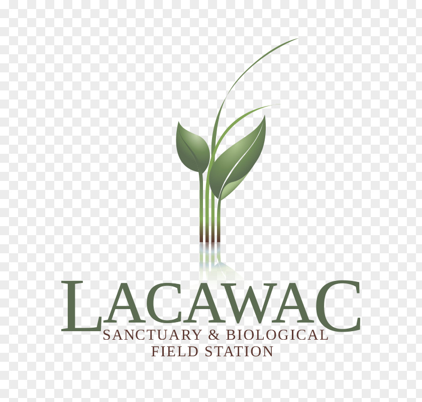 Lacawac Sanctuary Non-profit Organisation Hawley Management Organization PNG