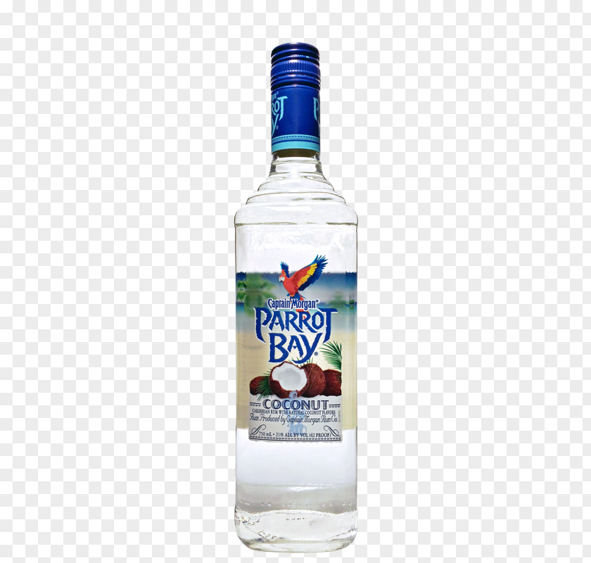 Pineapple Coconut Vodka Tonic Liqueur Rum Liquor Glass Bottle PNG