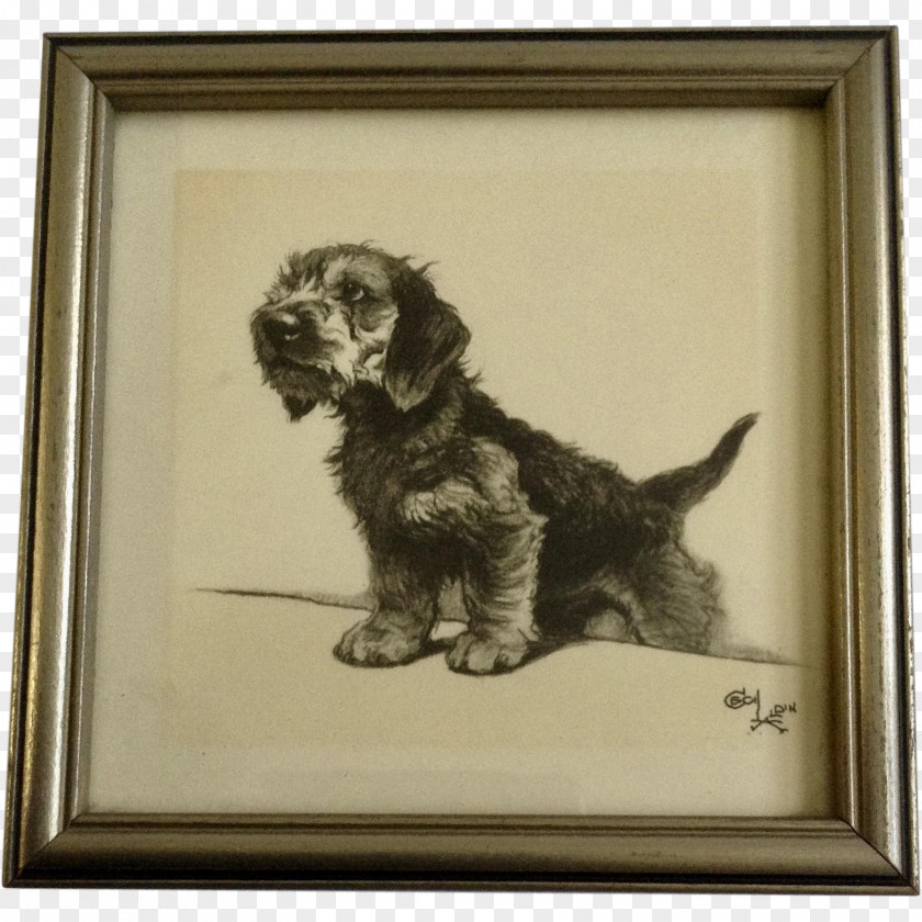 Puppy Cockapoo Cesky Terrier Dog Breed Spaniel PNG