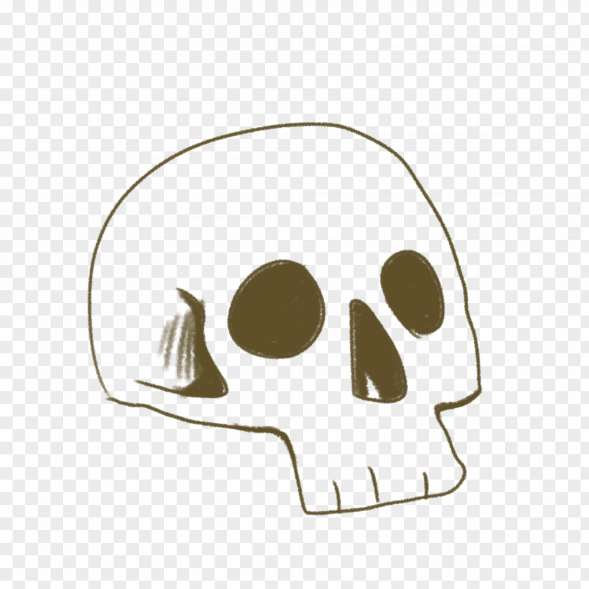 Snout Jaw Skull Lich PNG