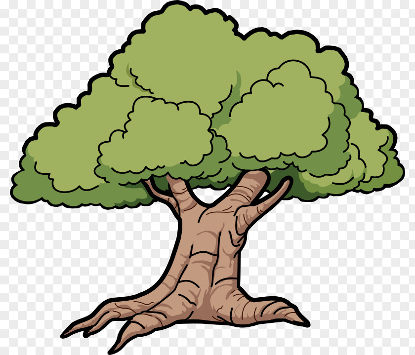 Swamp Tree Cliparts Cartoon Drawing Clip Art PNG