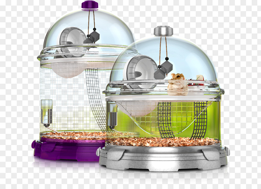 Aquarium Landscaping Decorations Golden Hamster Pet Cage Guinea Pig PNG