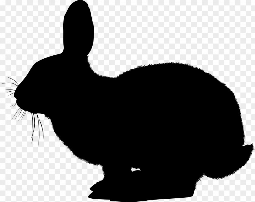 Easter Bunny Hare Vector Graphics Clip Art Stock.xchng PNG