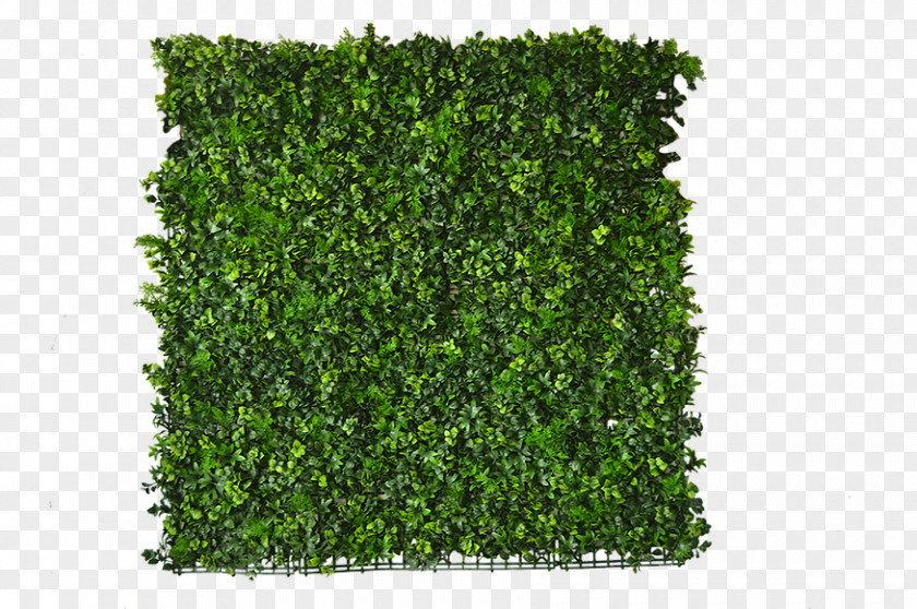 Fake Grass Follaje Rainforest Ivy Garden Meter PNG