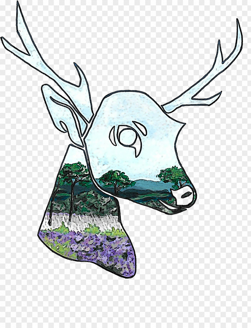 Head Horn Deer Wildlife Drawing PNG