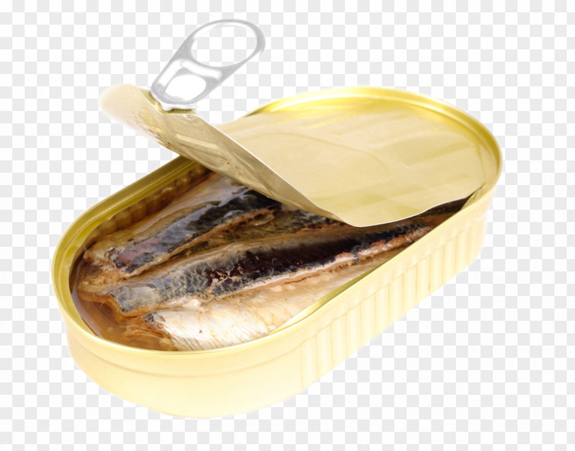 Oil Stock Photography Sardine PNG