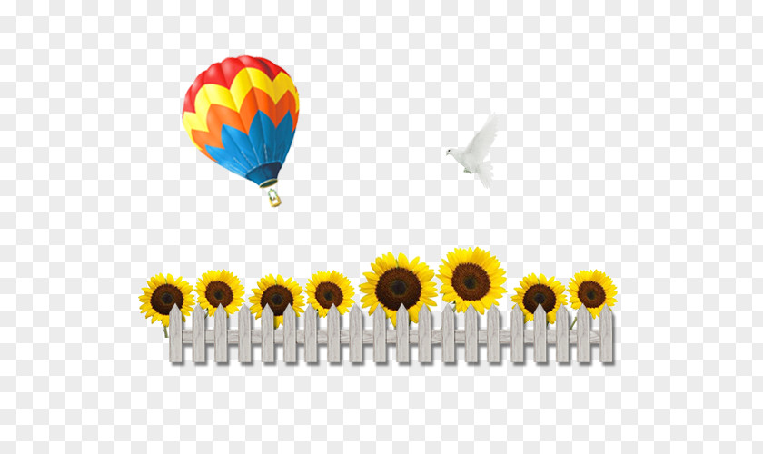 Sunflower Hot Air Balloon Decoration Material Common Chrysanthemum PNG