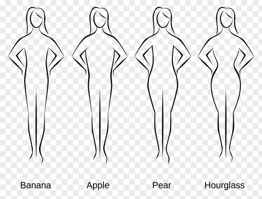 Woman Female Body Shape Human Somatotype And Constitutional Psychology PNG