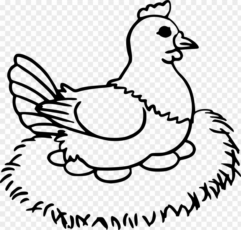 Chick File Chicken Coloring Book Clip Art Rooster Egg PNG