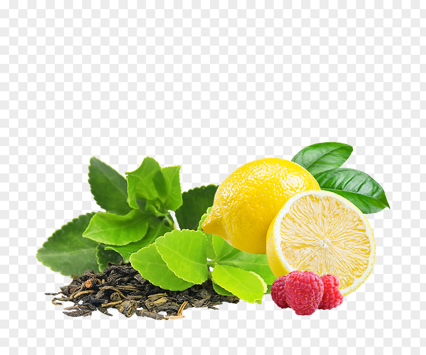 Lemonade Green Tea Infuser Infusion Drink PNG
