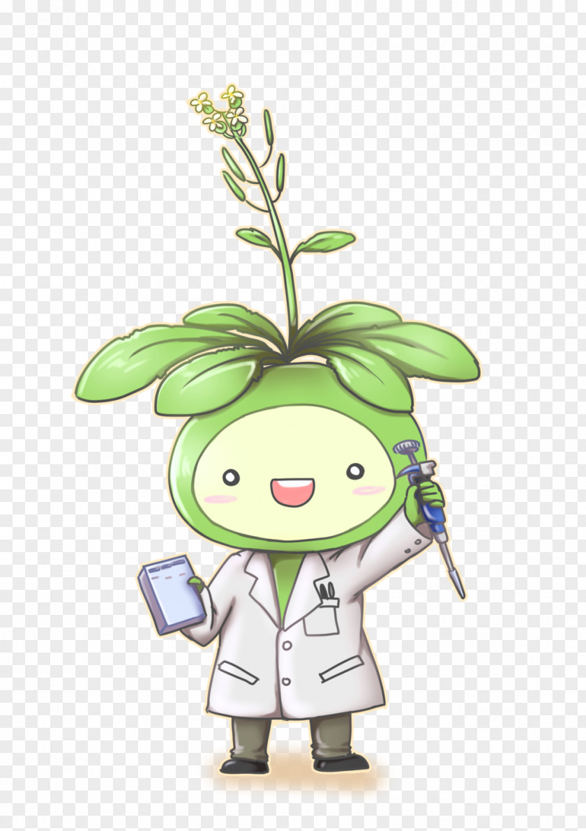 Plants Thale Cress Genome Botany Clip Art PNG