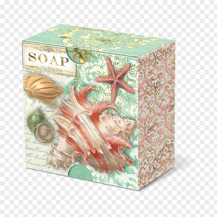 Soap Paper Opera Box Seashell PNG