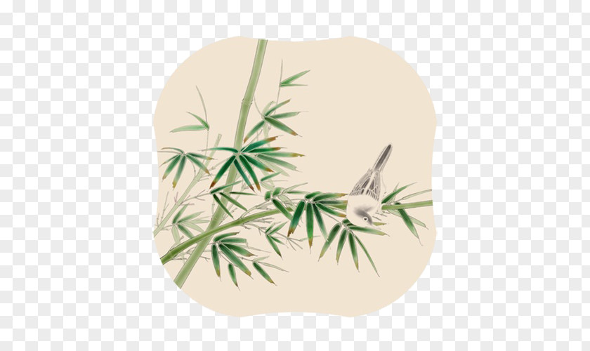 Bamboo Leaves On The Bird Drawing PNG