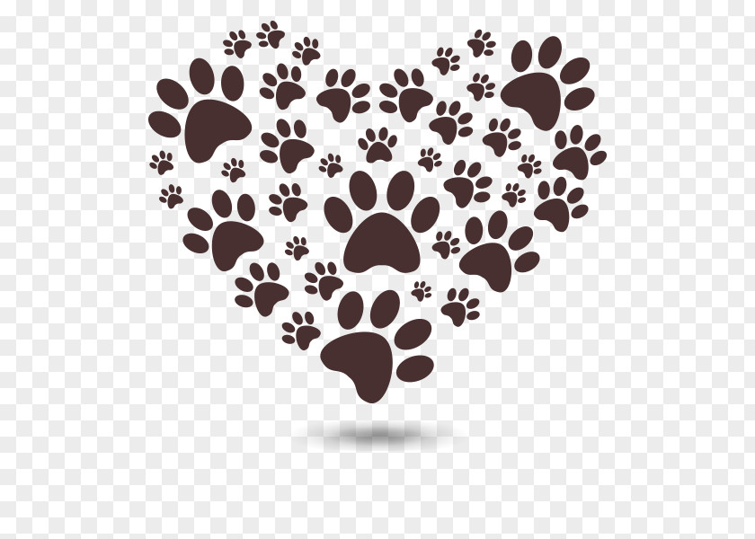 Cat Pet Beagle Animal German Spitz PNG