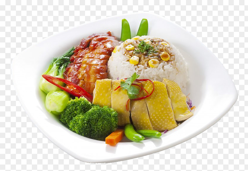 Chicken Rice Chinese Cuisine Sea Cucumber As Food Fried Hainanese Malaysian PNG