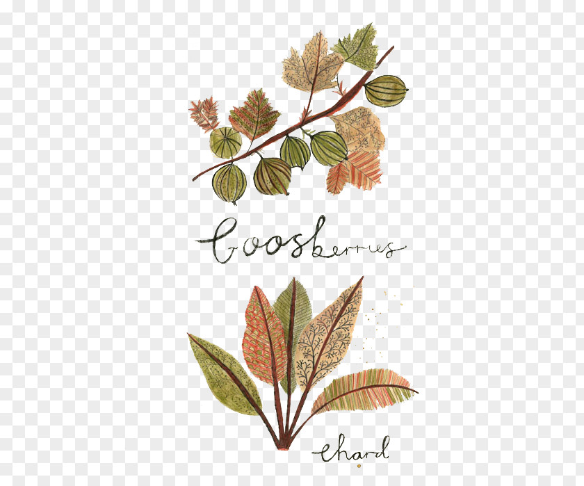 Hand-painted Vintage Foliage Pattern Drawing Art Food Painting Illustration PNG