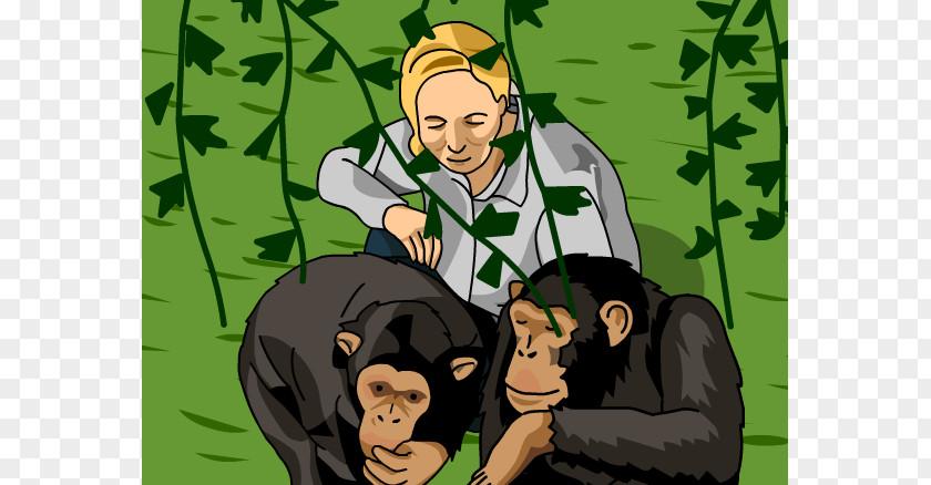 Jane Cliparts Gombe Stream National Park My Life With The Chimpanzees I Love: Saving Their World And Ours Clip Art PNG