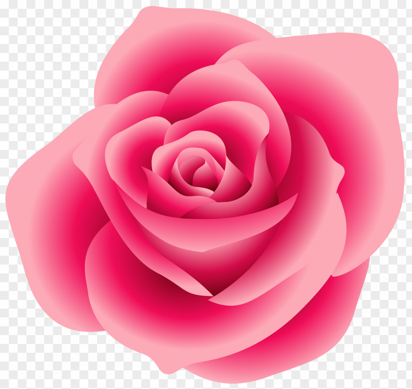 Large Flower Rose Pink Free Clip Art PNG
