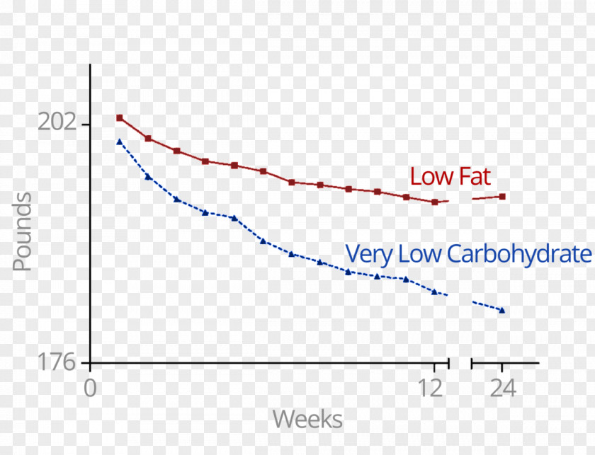 Low-carbohydrate Diet Food Calorie Restriction PNG