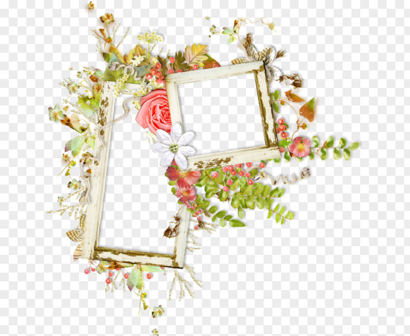 Picture Frames Floral Design Clip Art PNG