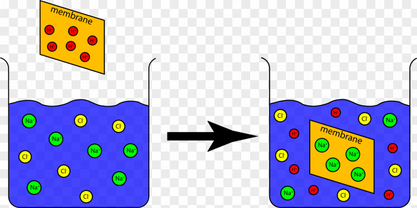 Science Experiment Clipart Chemistry Ion Clip Art PNG