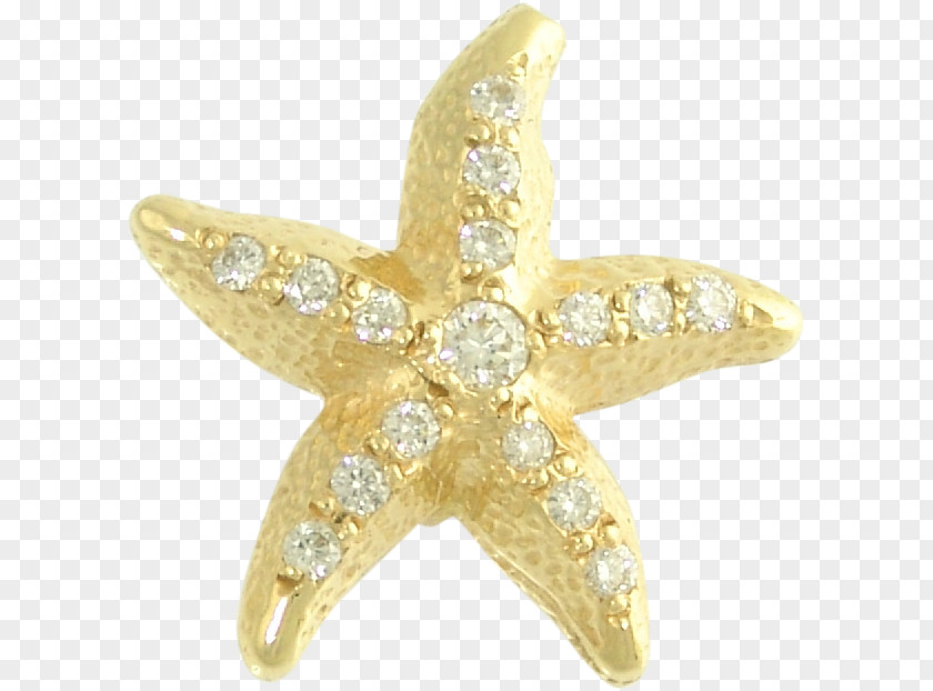 Sea Star Starfish Gold Earring Jewellery Charms & Pendants PNG