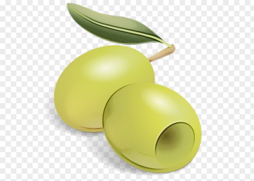 Tree Plant Olive Green Yellow Fruit PNG