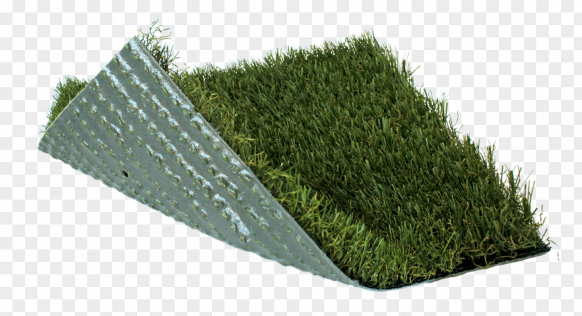 Artificial Grass Turf Lawn Garden Sod Fescues PNG