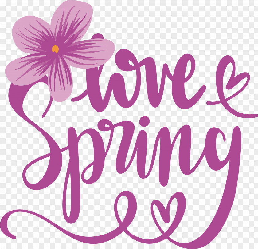 Floral Design PNG