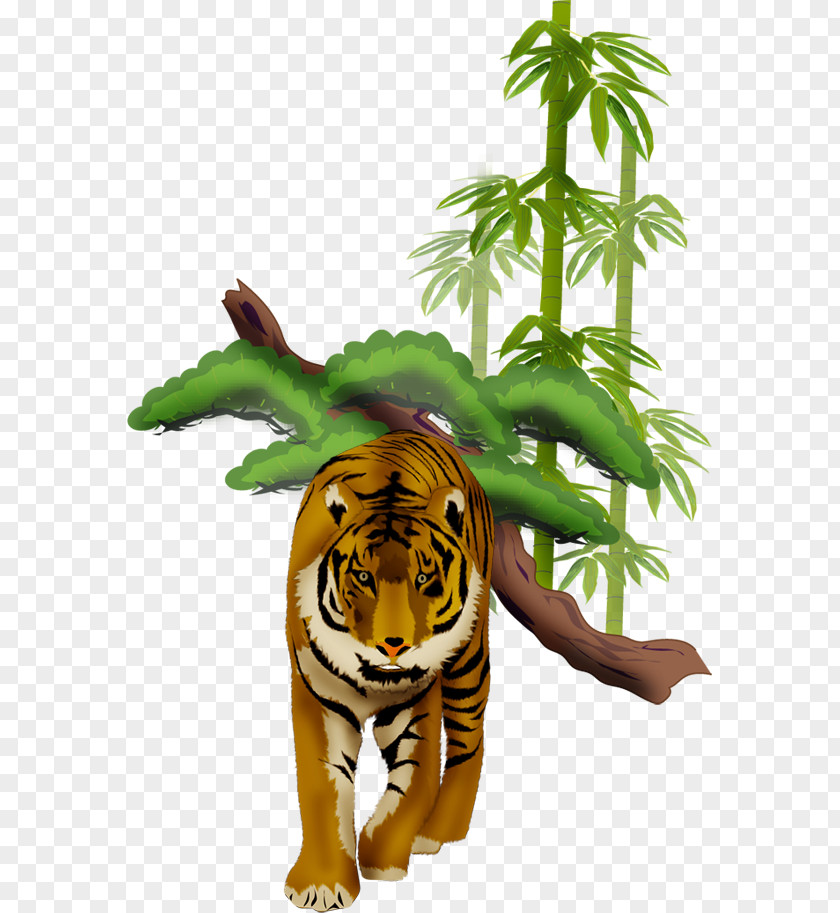 Tiger Wildlife Animal PNG