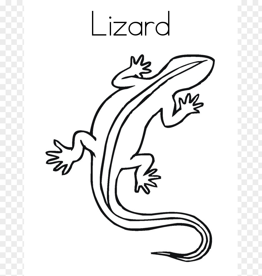 Cartoon Lizard Images Reptile Coloring Book Chameleons Child Drawing PNG