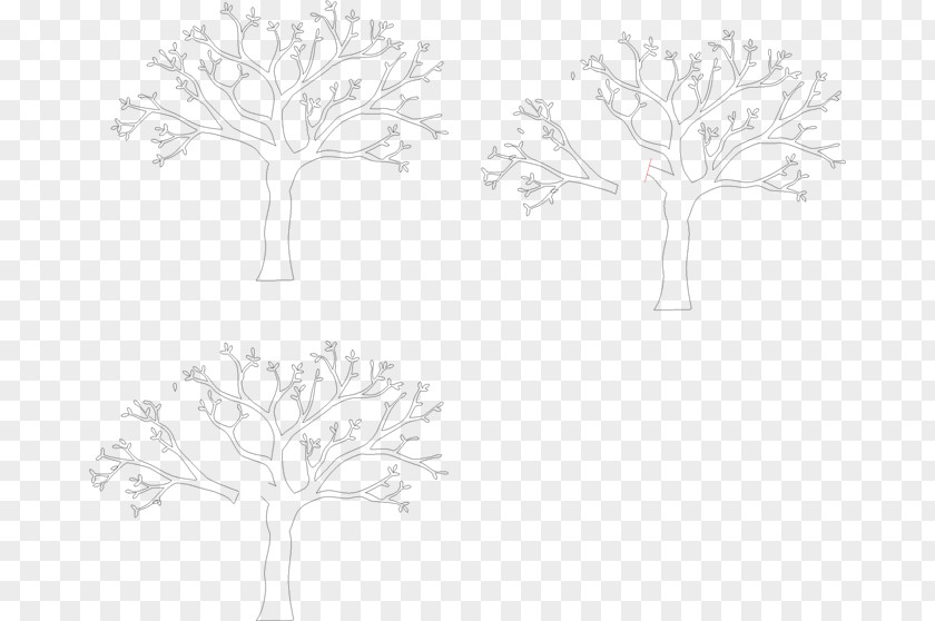Leaf Twig White Plant Stem Pattern PNG
