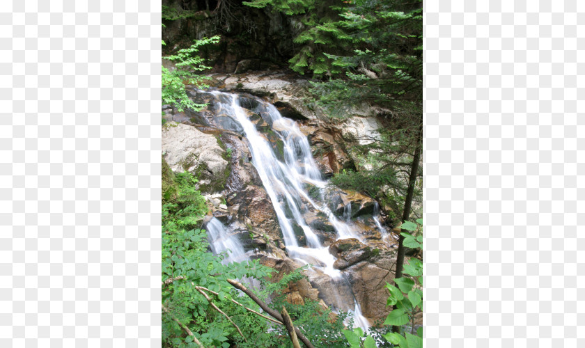 Mountain Waterfalls Waterfall Vegetation Water Resources Old-growth Forest Watercourse PNG