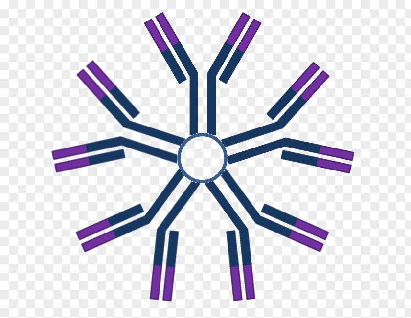 Sterilized Virus Antibody Immunoglobulin M A G Antigen PNG