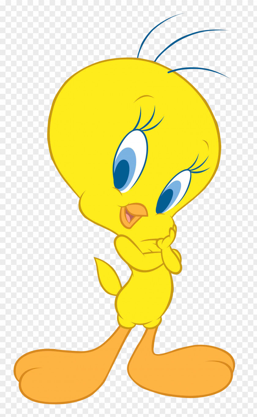 Tweety Bird Text Smiley Cartoon Clip Art PNG