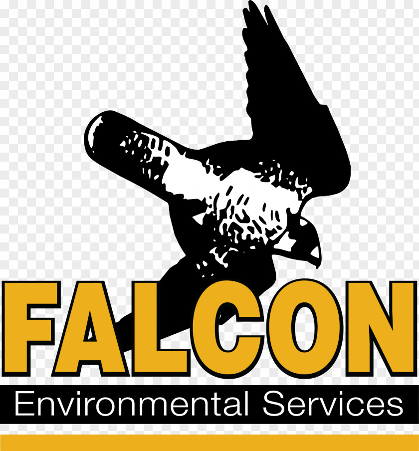 Falcon Bird Natural Environment Wing Environmental Protection PNG