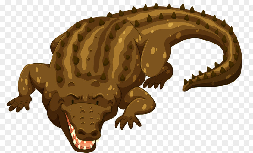 Ferocious Crocodiles Crocodile Alligator Cartoon Drawing PNG